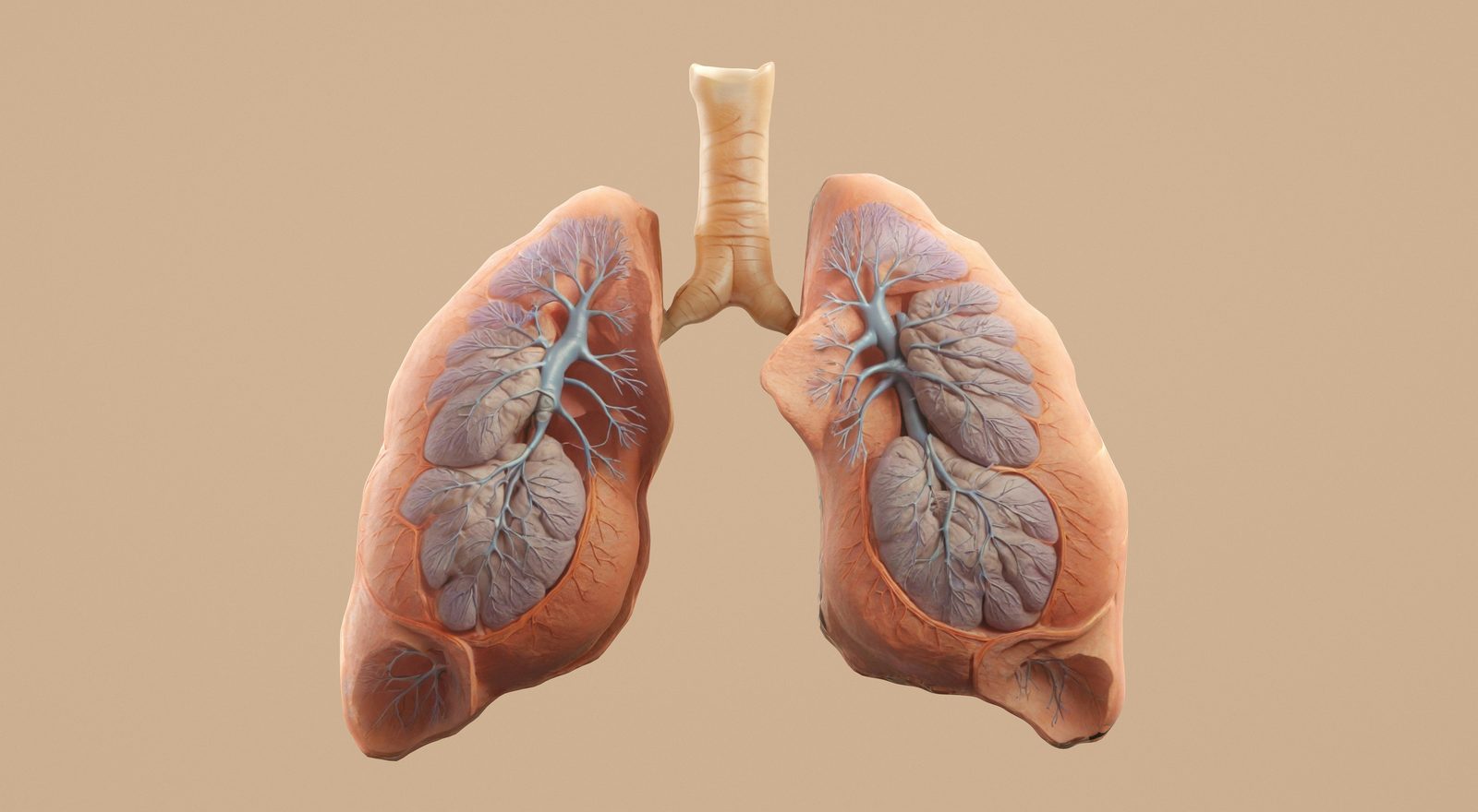 Respiratory